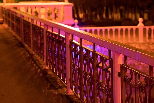 Fotografía nocturna desde el puente hasta el estanque, la ornamentada barandilla de hierro fundido del puente