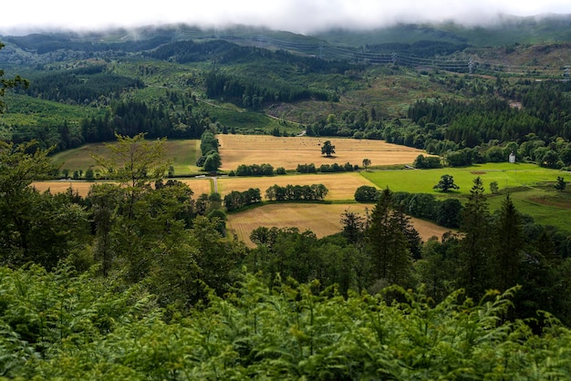 Fotografía de paisaje de campo