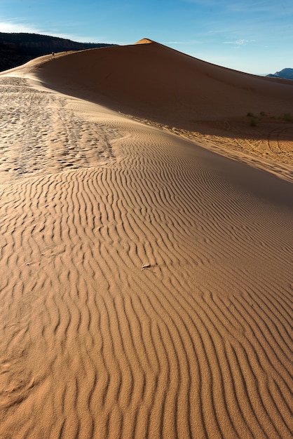 Fotografía de paisaje del desierto en Arizona