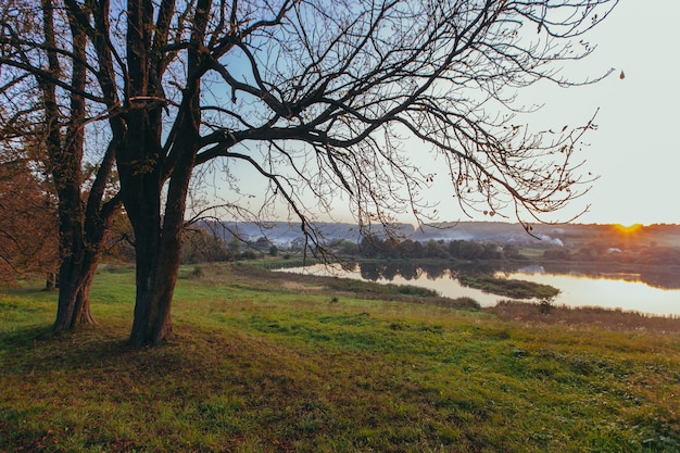 Fotografía de paisaje, otoño al atardecer, lago y hermosas ramas de árboles