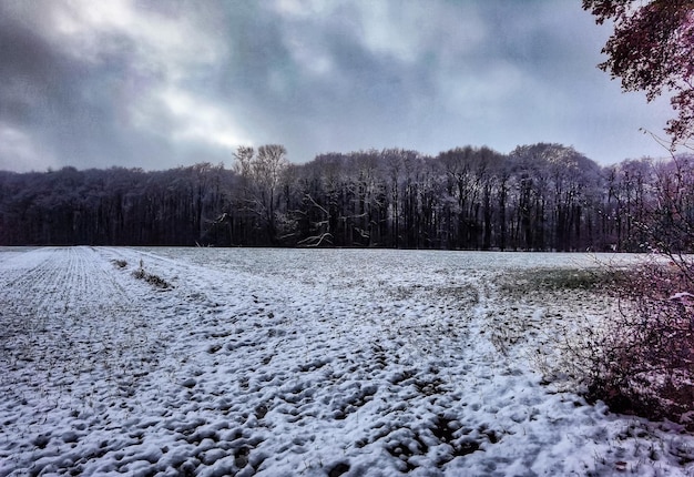 Fotografía de paisajes de la naturaleza en el norte de Alemania