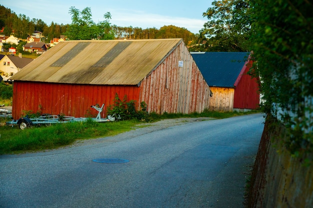 fotografía con paisajes y naturaleza en noruega