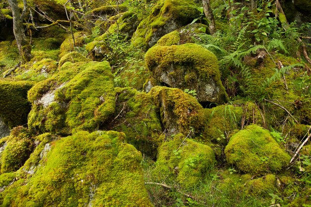 fotografía con paisajes y naturaleza en noruega