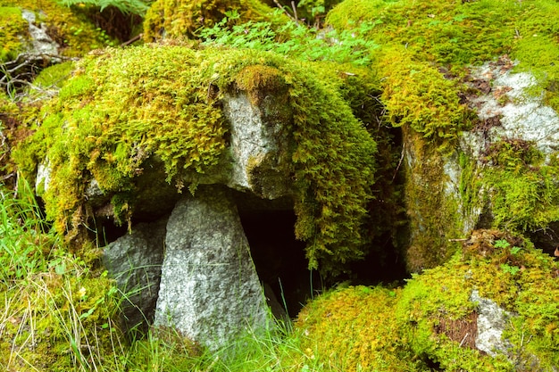 fotografía con paisajes y naturaleza en noruega