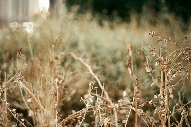 Fotografía del parque