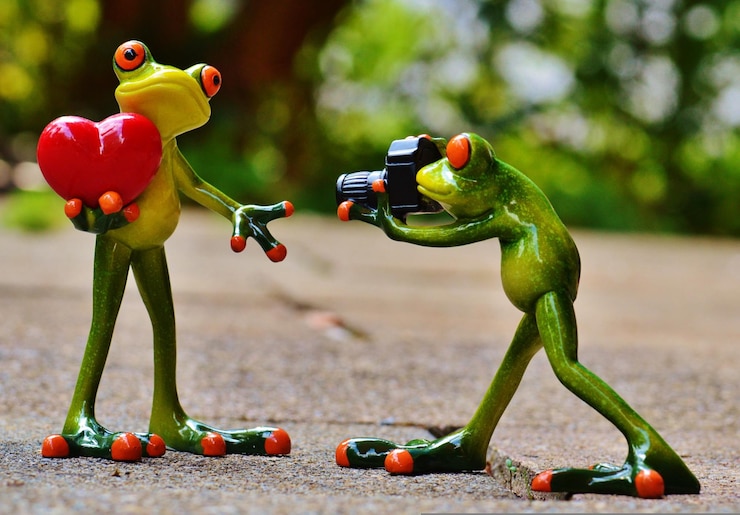 Foto fotografía romántica de ranas