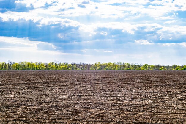 Foto fotografia sobre o tema grande campo agrícola vazio para colheita orgânica