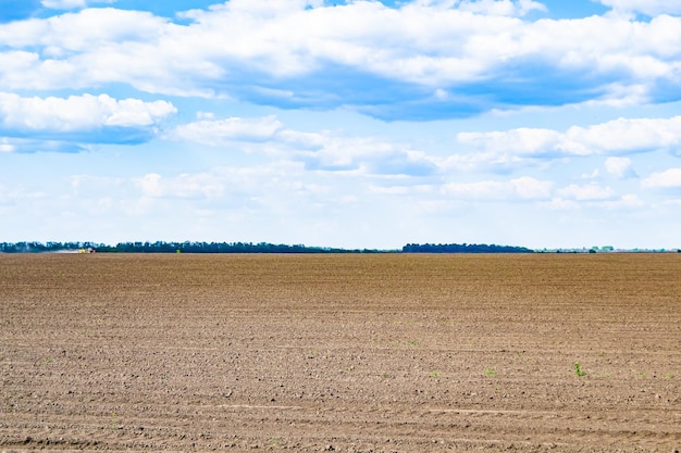 Fotografia sobre o tema grande campo agrícola vazio para colheita orgânica