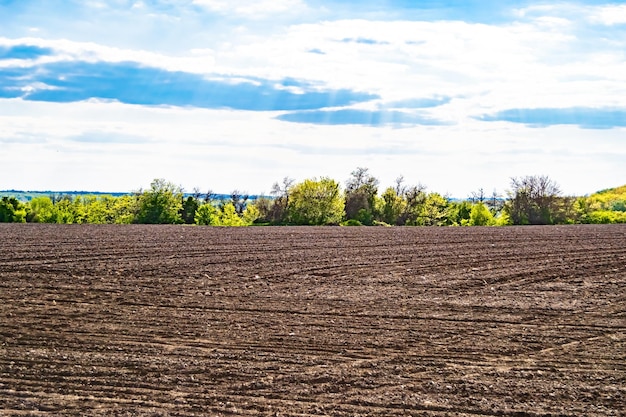 Fotografía sobre el tema de un gran campo de granja vacío para la cosecha orgánica