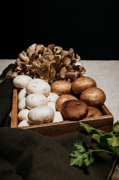 Fotografía de Stock con una caja llena de hongos, Shiitake, Hongos, Forest Hen, Perejil, sobre una mesa gris y fondo negro.