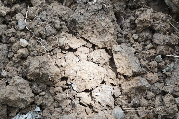 Fotografía de Stock de la naturaleza en el pueblo.