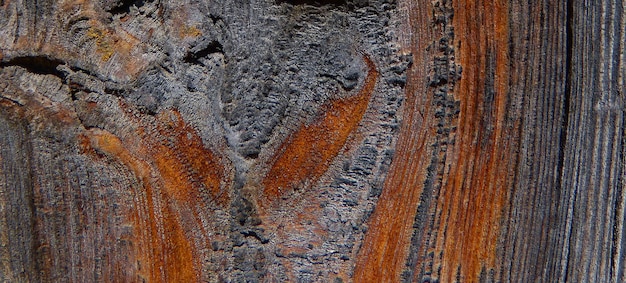 fotografía de una superficie de madera