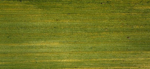 fotografía de una superficie de madera