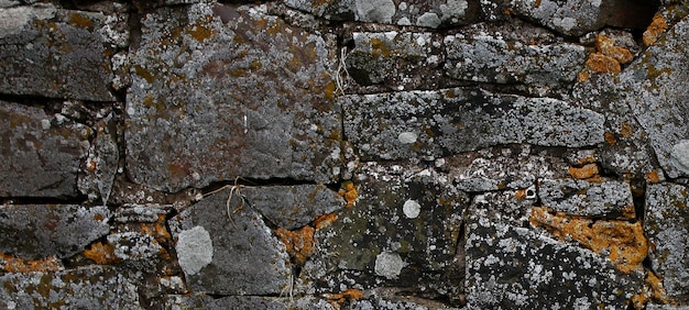 fotografía de una superficie de piedra