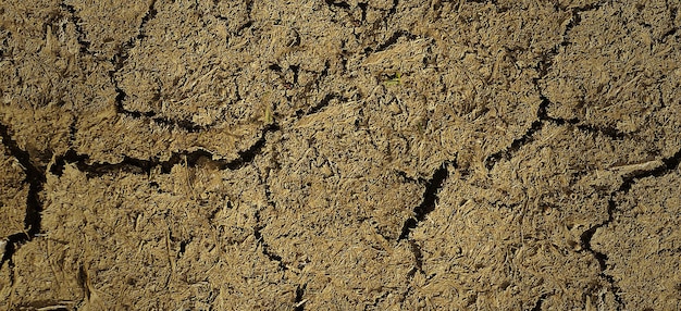 fotografía de la superficie de la tierra