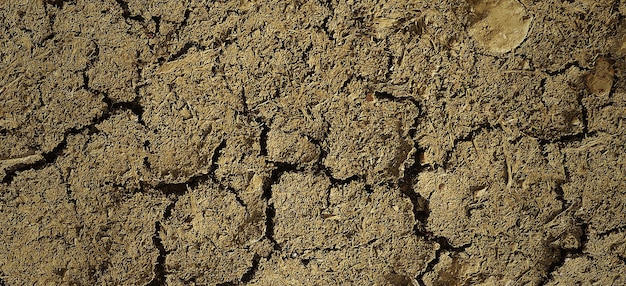 fotografía de la superficie de la tierra