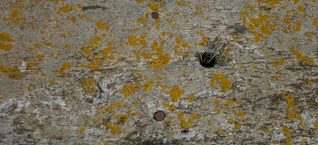 fotografía de textura de pared de piedra