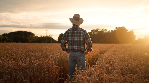 Foto fotografia traseira do agricultor de pé no campo de trigo amarelo ao pôr-do-sol e olhando para o har