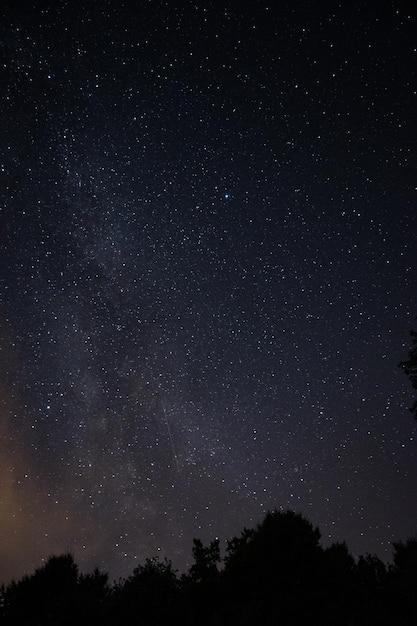 Foto fotografia vertical de um céu noturno cheio de estrelas e árvores no fundo