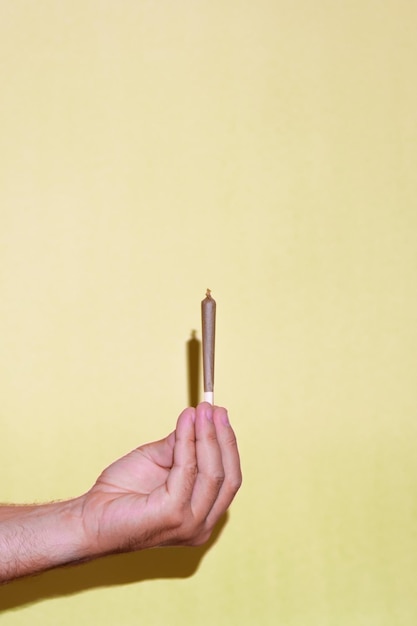 Fotografia vertical de uma mão segurando um baseado de cannabis em fundo amarelo