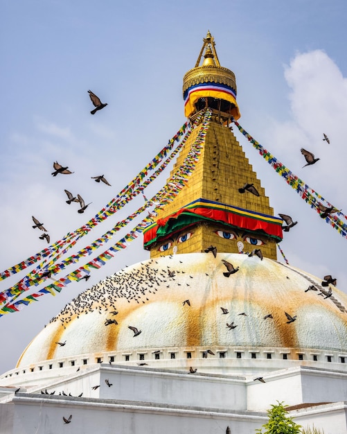 Fotografia vertical dos pássaros voando sobre a estupa e o templo de Boudhanath em Katmandu, Nepal