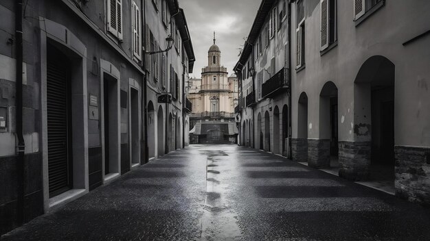 Fotografia vertical em escala de cinza de uma rua com edifícios antigos e água da chuva no chão