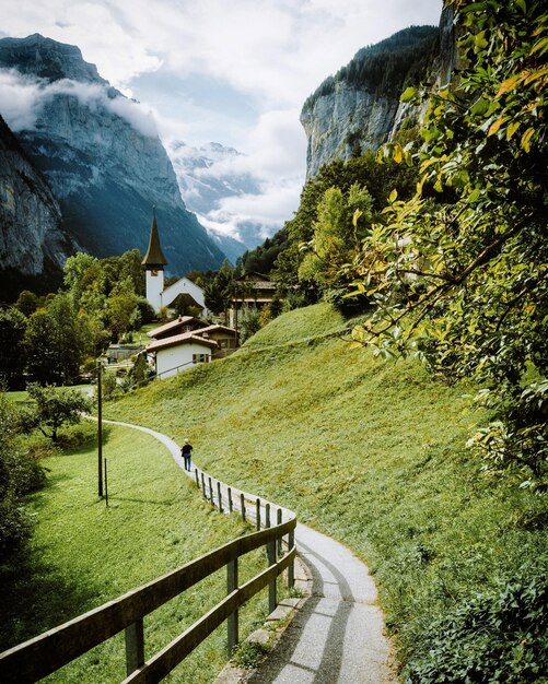 Foto fotografía vertical de un sendero en la naturaleza