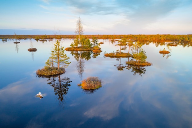 Fotografía a vista de pájaro de un pantano