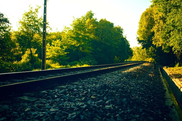 fotografía de vista premium del riel del tren