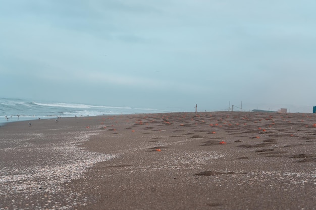 Fotografias de la Costa del Peru, donde se puede ver el Oceano Pacifico.