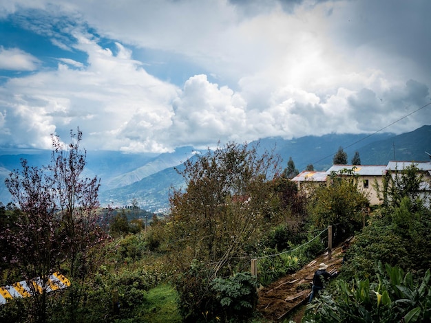 Fotografias de uma grande truta nas montanhas do Peru