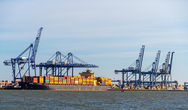 Fotografias panorâmicas do porto de contêineres de Felixstowe mostrando guindastes e navios de contentores