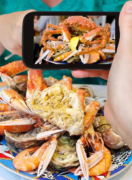 Foto fotografías turísticas de plato de marisco con langostinos langostinos