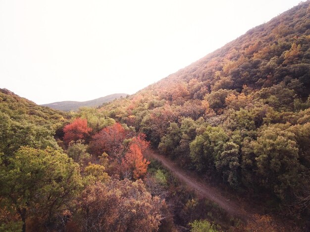 Fotografie eines Herbstspaziergangs im Wald von Raso la Cruz in der Sierra de Algairen in Moncayo.