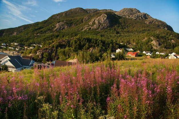 Fotografie mit Landschaften und Natur in Norwegen