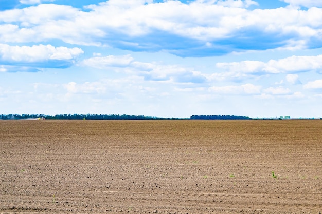 Fotografie zum Thema großes leeres Bauernhoffeld für die ökologische Ernte