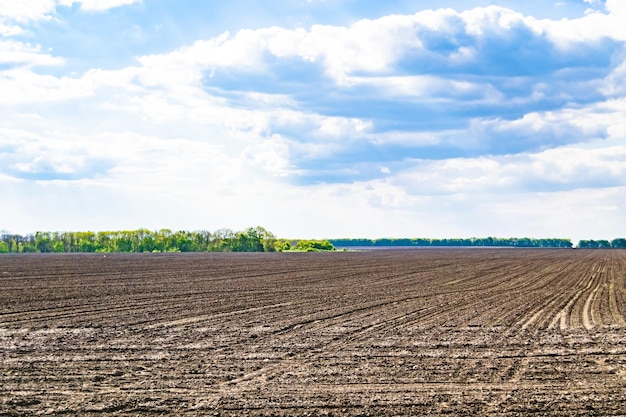 Fotografie zum Thema großes leeres Bauernhoffeld für die ökologische Ernte