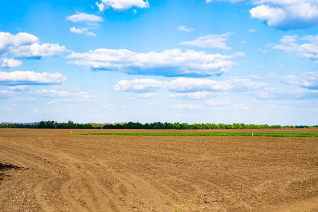 Fotografie zum Thema großes leeres Bauernhoffeld für die ökologische Ernte