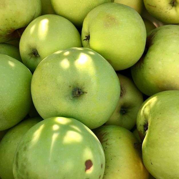 Fotografie zum Thema schöner Obstzweig Apfelbaum
