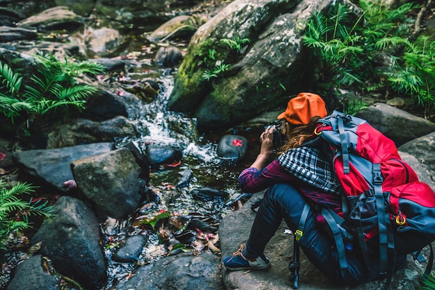 Fotógrafo asian women Viajando fotografia Nature. no passeio de férias na floresta.