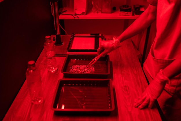 Fotógrafo con guantes de pie junto a la mesa con contenedores y fotografía en desarrollo