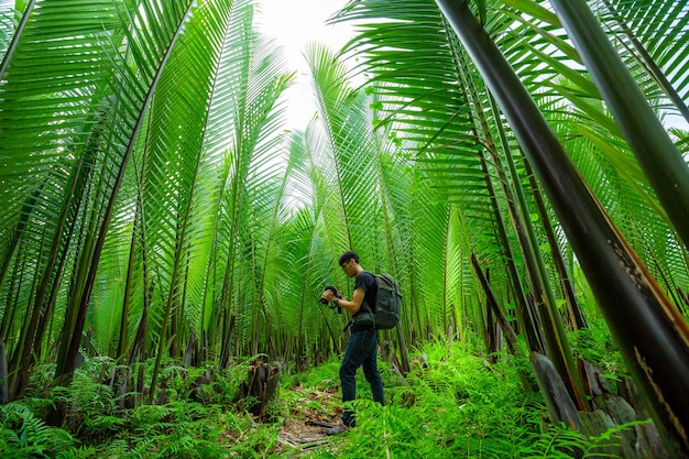 Fotógrafo masculino tirando fotos na floresta, fotógrafo de viagens da natureza na selva tropical,