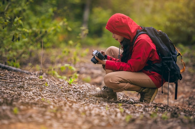 Fotógrafo con mochila tomando fotos en un hermoso bosque en una ruta de senderismo