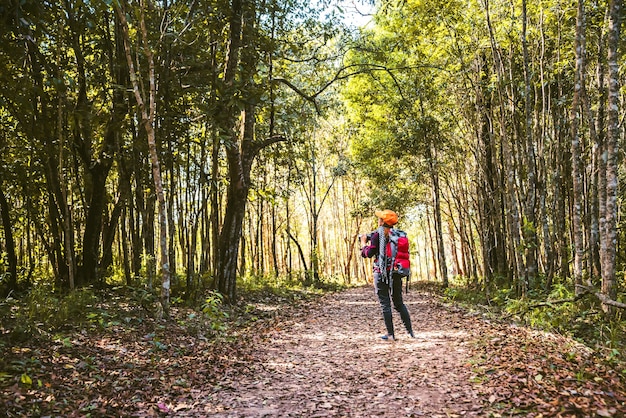 Fotógrafo mujeres asiáticas Fotografía de viaje Naturaleza. en el paseo de vacaciones en el bosque.