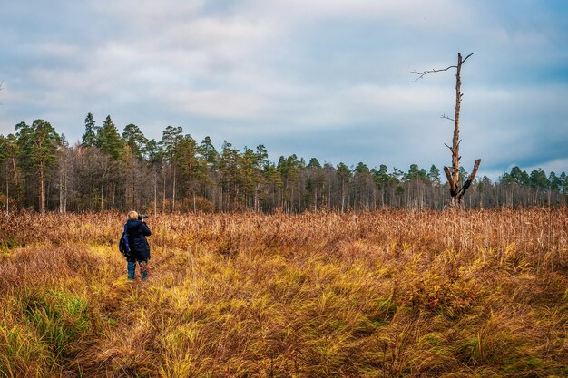 Un fotógrafo en la naturaleza en el lugar toma un solo árbol seco en otoño.