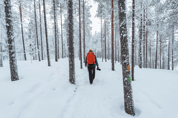Fotógrafo de paisajes trekking en una nevada Laponia, Finlandia