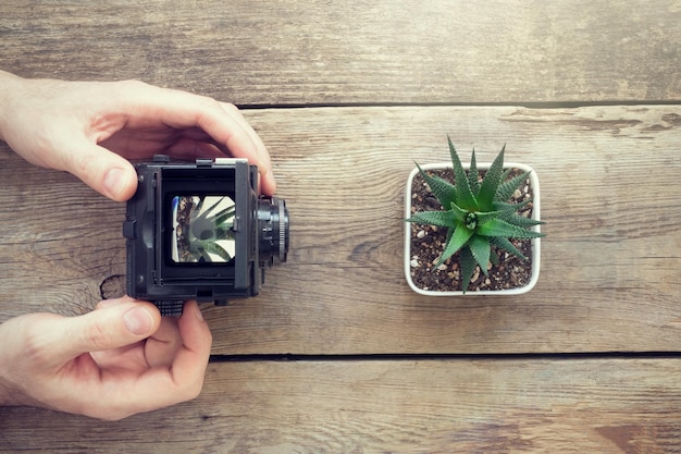 Fotógrafo tirando uma foto de suculenta usando câmera antiga Vista superior