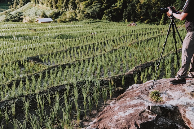 Foto el fotógrafo toma una foto del arrozal de arroz