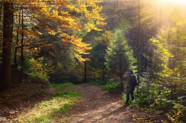 El fotógrafo toma una foto del bosque cárpato otoñal con rayos de luz cálida que iluminan el follaje dorado y rojo