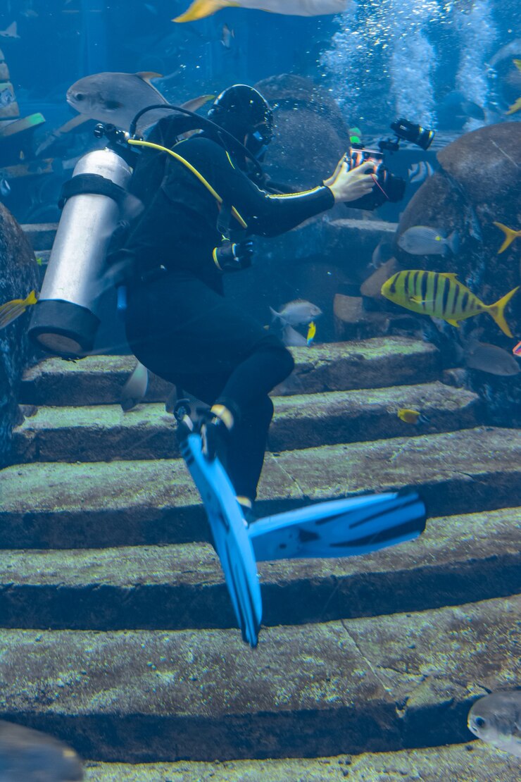 Foto fotógrafos subaquáticos em mergulhos. mergulhadores com câmera rodeados por um grande número de peixes no enorme aquário. atlantis, sanya, hainan, china.